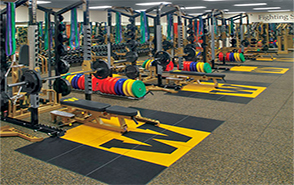 Sàn cao su - Sự lựa chọn tốt nhất cho phòng GYM